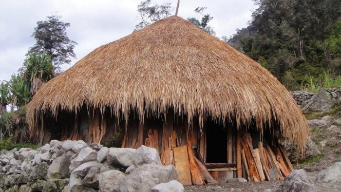 rumah adat provinsi papua barat