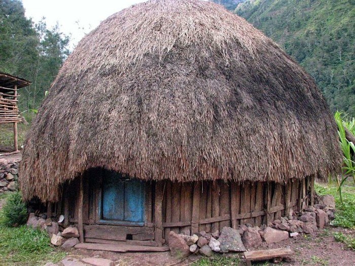 rumah adat provinsi papua