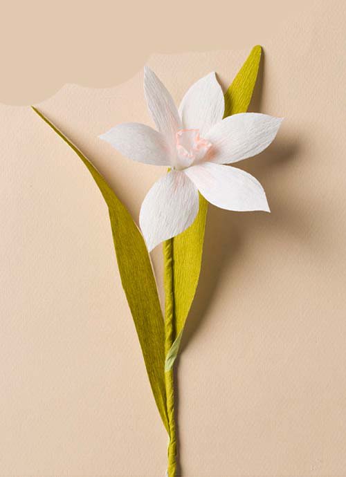 bunga dari kertas flanel