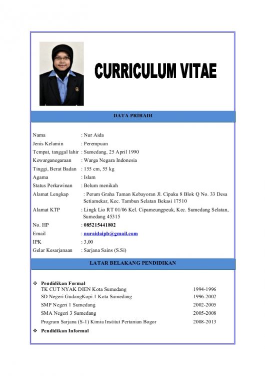 15 Contoh CV / Curriculum Vitae / Daftar Riwayat Hidup Terlengkap