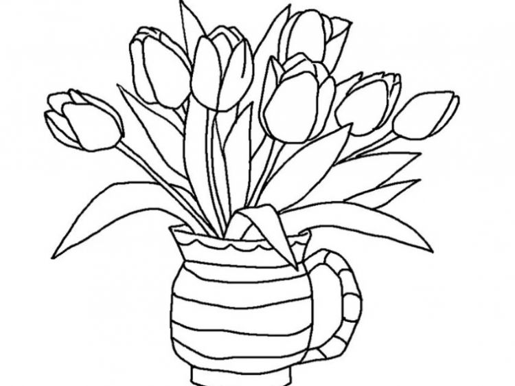 sketsa bunga anggrek hitam putih