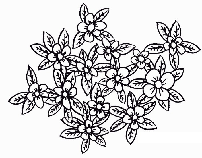 sketsa lukisan bunga melati