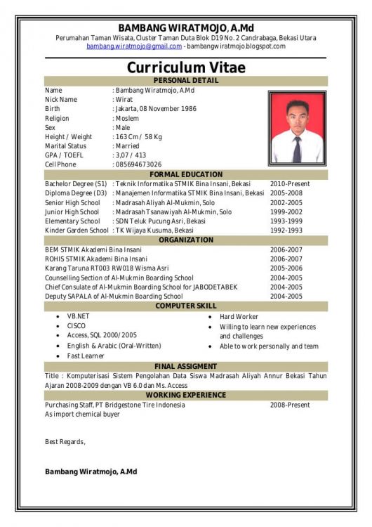 15 Contoh CV / Curriculum Vitae / Daftar Riwayat Hidup 