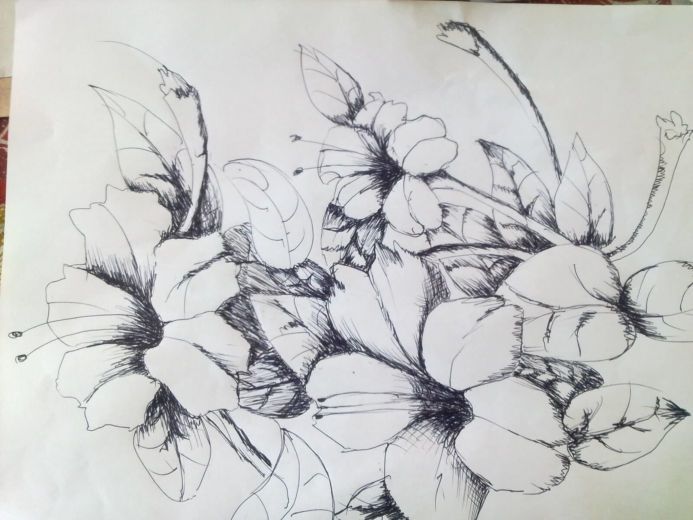 Sketsa bunga sederhana