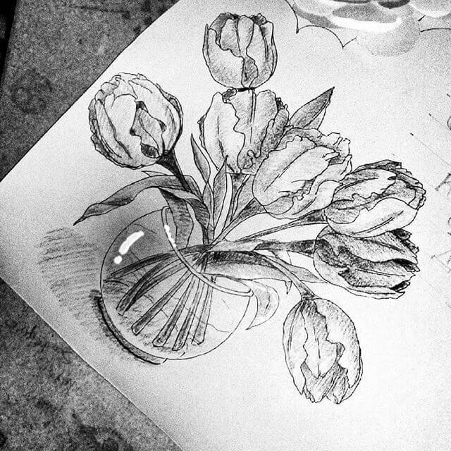 sketsa bunga tulip