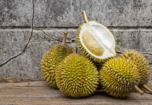 gambar buah durian