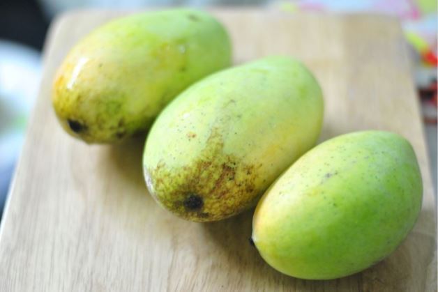 gambar buah mangga