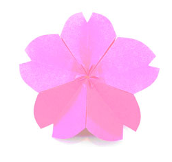 cara membuat origami bunga sakura dengan mudah