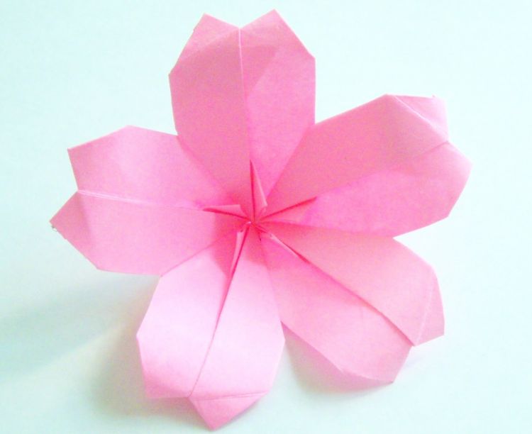 cara membuat origami bunga sakura