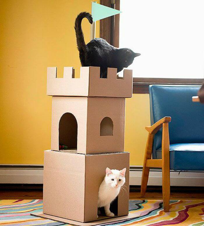 rumah kucing dari kardus