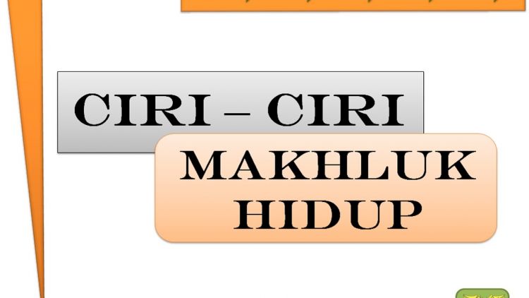 9 Ciri Ciri Makhluk Hidup, Pengertian, Gambar dan 