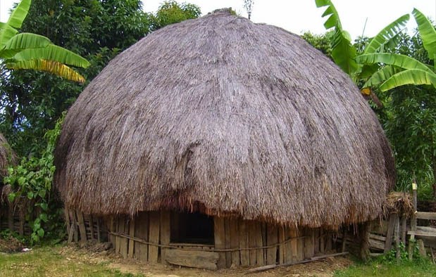 Rumah Adat Papua : Nama, Keunikan dan Penjelasannya
