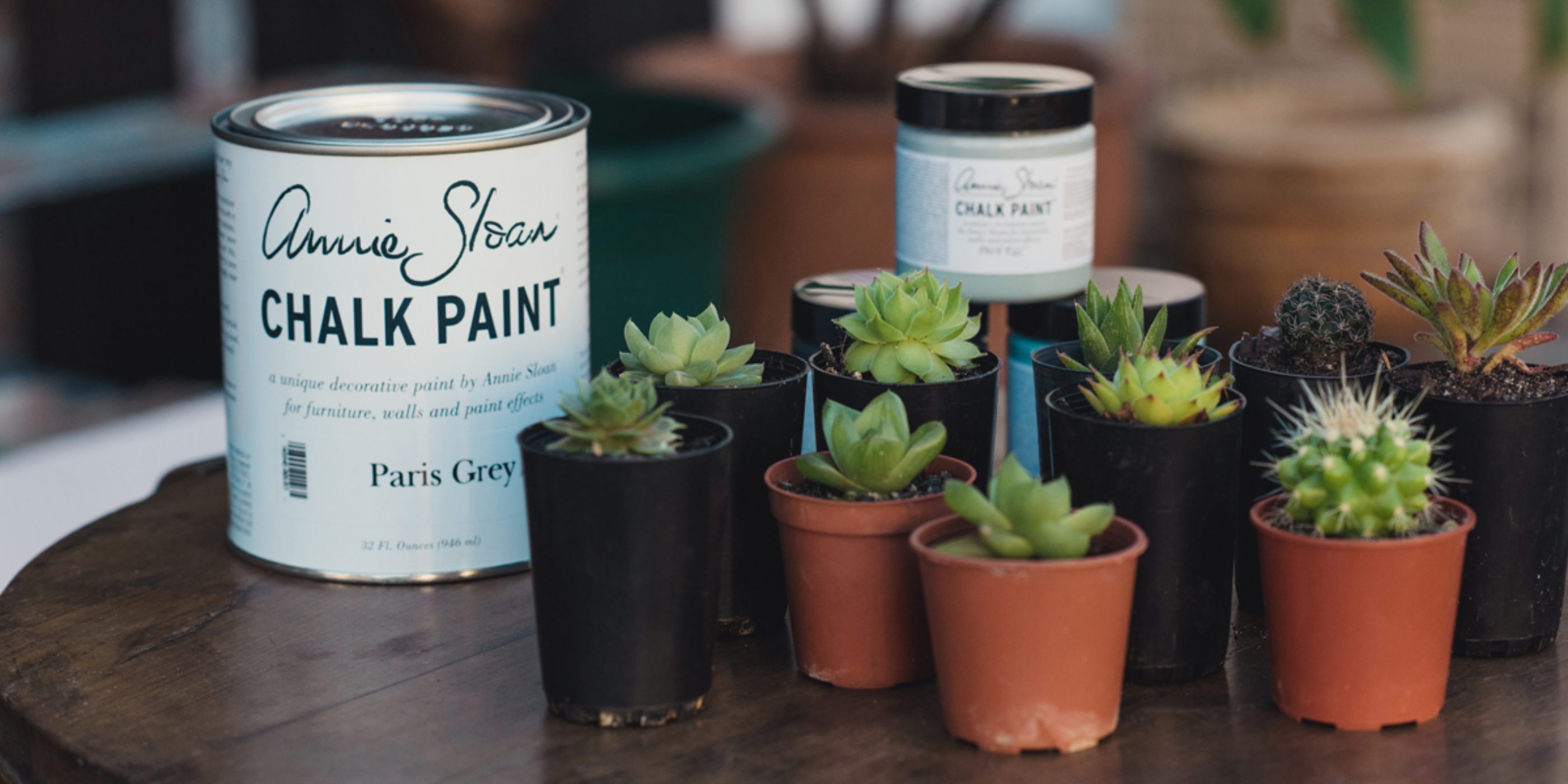 diy chalkboard pot plant favours