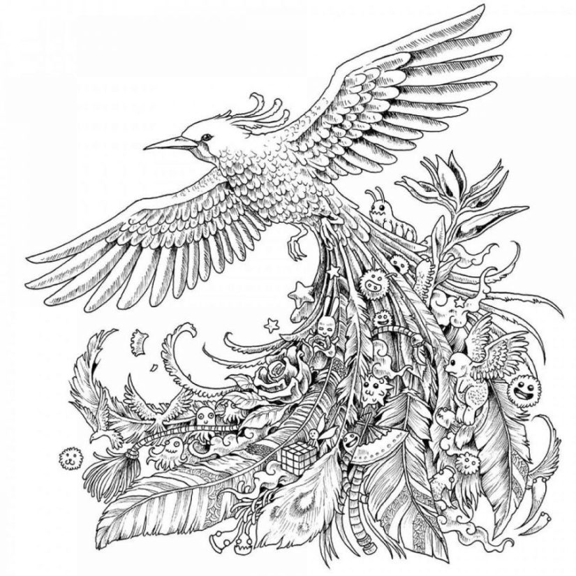 gambar doodle burung