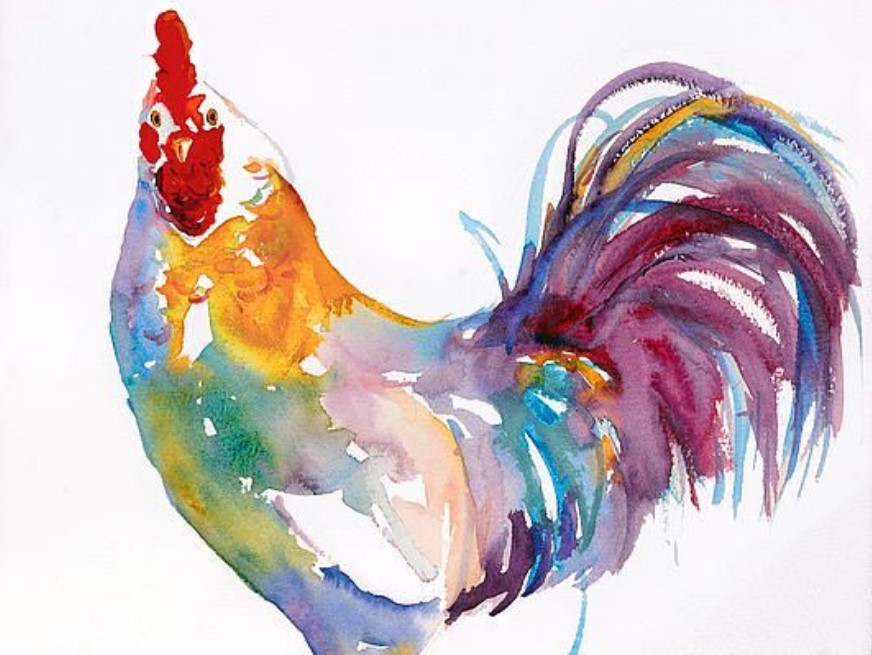 gambar ilustrasi ayam