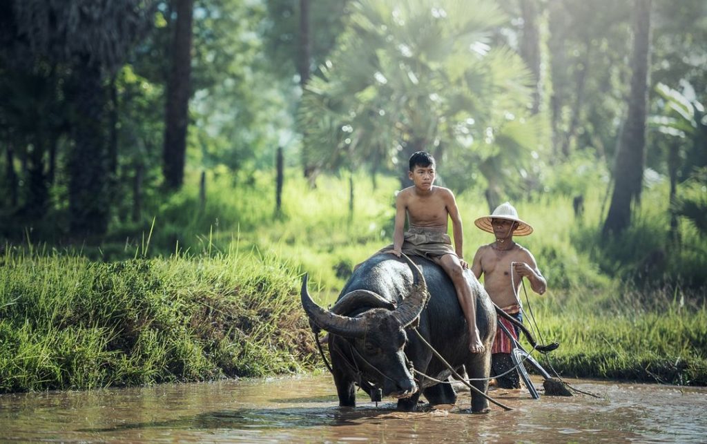 Pengertian Ekologi Ruang Lingkup Aspek Manfaat Jenis Jenis 6198