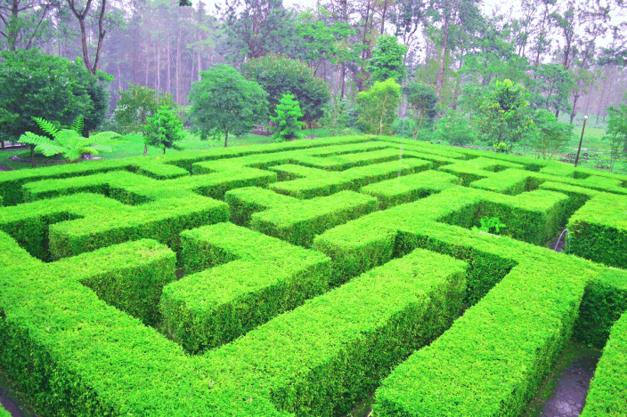 taman labirin atau maze garden