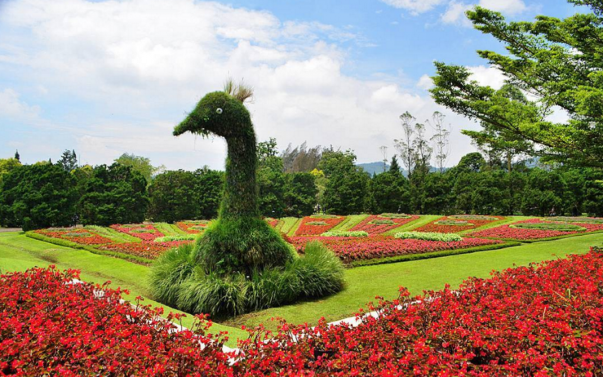 6 Objek Wisata Taman Bunga Nusantara yang Wajib Anda Kunjungi