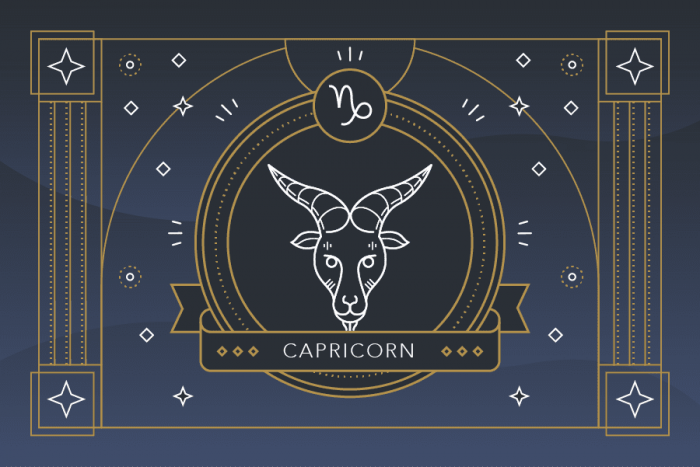 zodiak capricorn (21 desember – 19 januari)