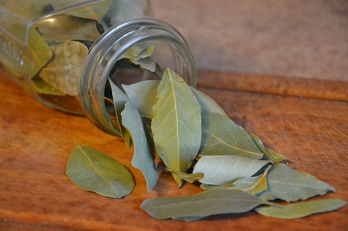 manfaat daun salam untuk diet
