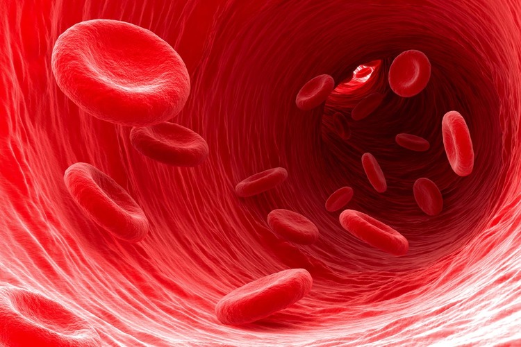 menghancurkan sel darah merah yang telah tua