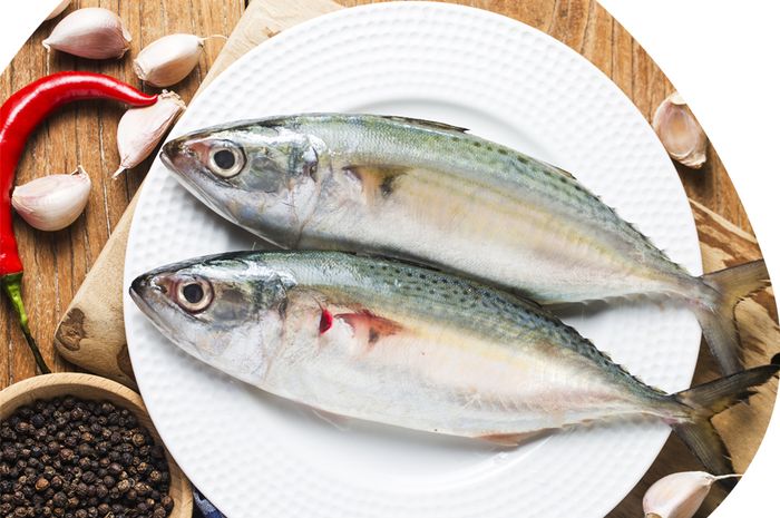 6 Resep Ikan Kembung yang Bisa Anda Coba Dirumah | TheMoonDoggies