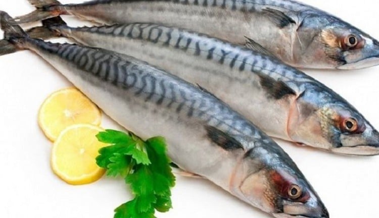 khasiat ikan kembung bagi kesehatan