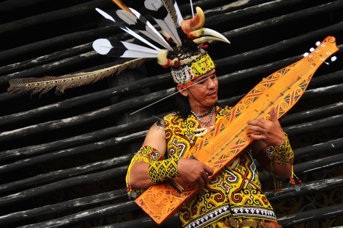 Suku Dayak: Sejarah, Kebudayaan, Adat Istiadat dan Penjelasannya
